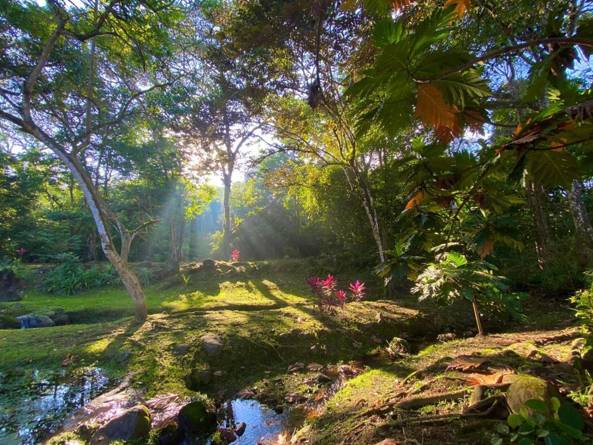 Buena Onda Jungle Lodge Ojochal Esterno foto