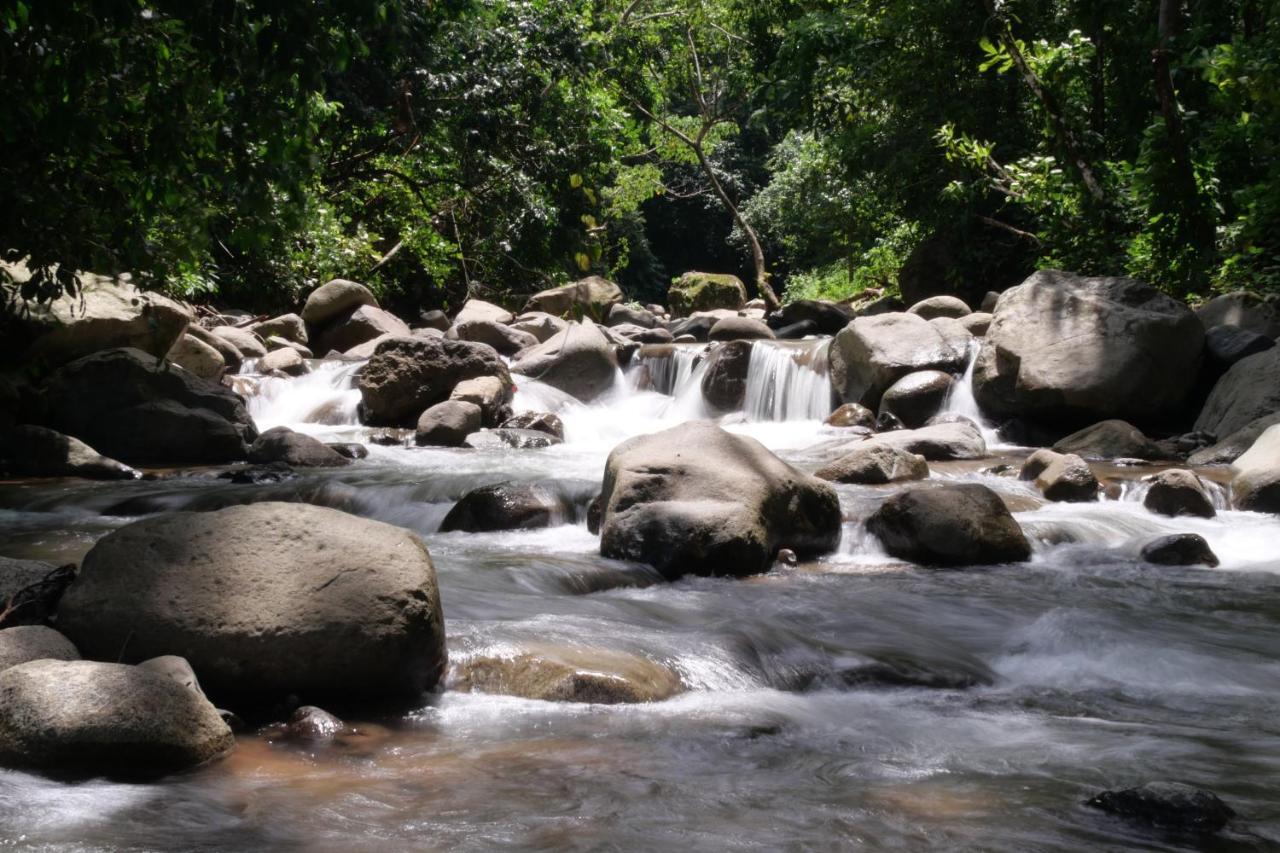 Buena Onda Jungle Lodge Ojochal Esterno foto