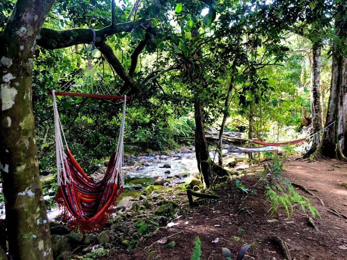 Buena Onda Jungle Lodge Ojochal Esterno foto